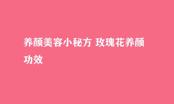 养颜美容小秘方 玫瑰花养颜功效