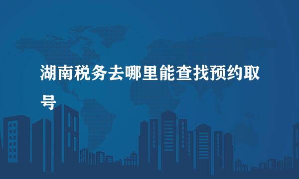 湖南税务去哪里能查找预约取号