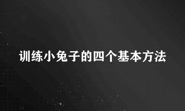 训练小兔子的四个基本方法