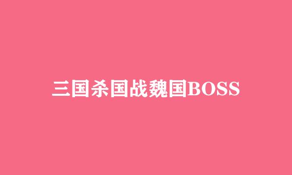 三国杀国战魏国BOSS