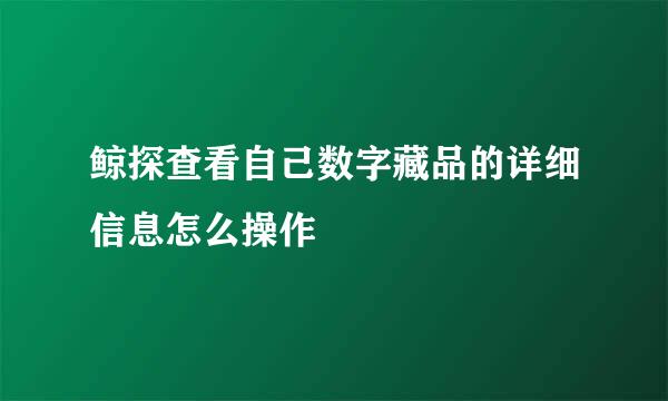 鲸探查看自己数字藏品的详细信息怎么操作