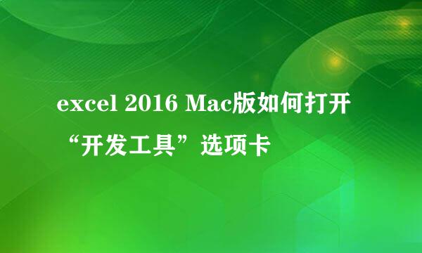 excel 2016 Mac版如何打开“开发工具”选项卡