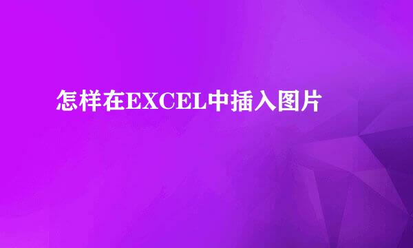 怎样在EXCEL中插入图片