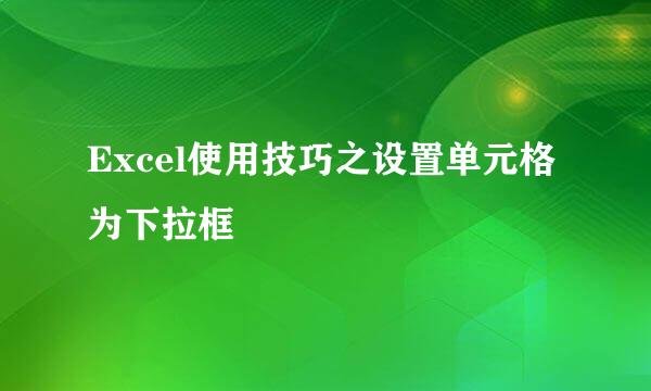 Excel使用技巧之设置单元格为下拉框