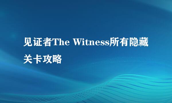 见证者The Witness所有隐藏关卡攻略