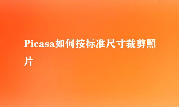 Picasa如何按标准尺寸裁剪照片
