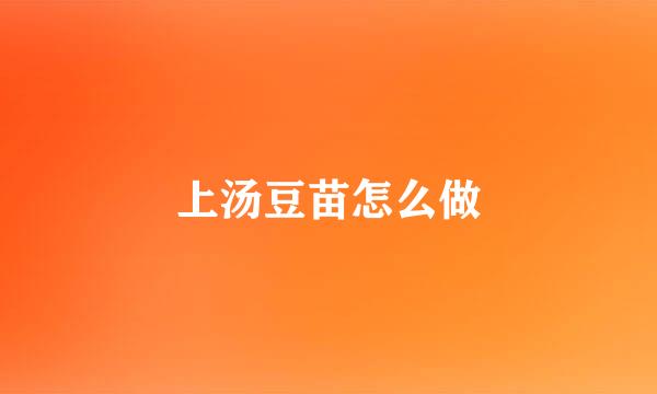 上汤豆苗怎么做