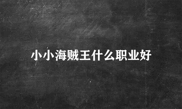 小小海贼王什么职业好