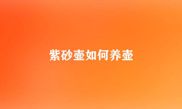 紫砂壶如何养壶