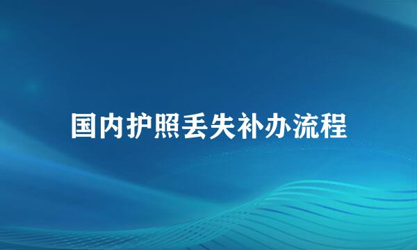 国内护照丢失补办流程