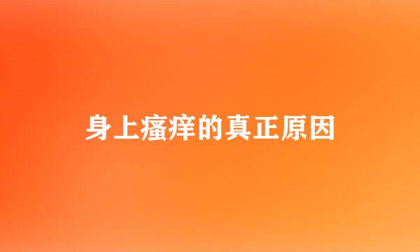 身上瘙痒的真正原因