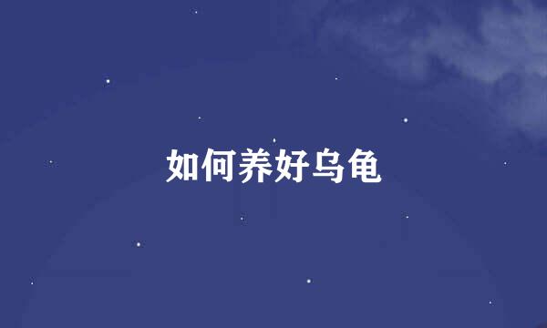 如何养好乌龟