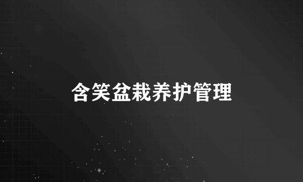 含笑盆栽养护管理