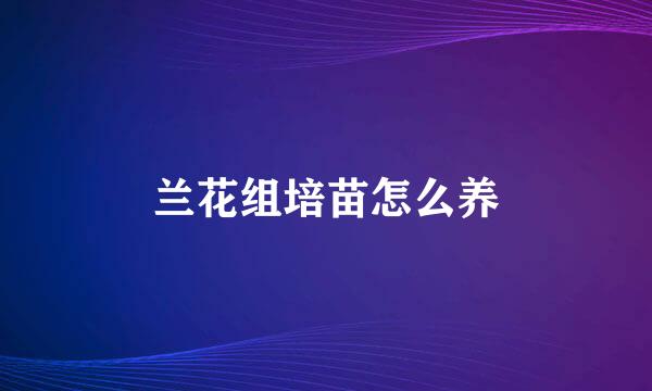 兰花组培苗怎么养