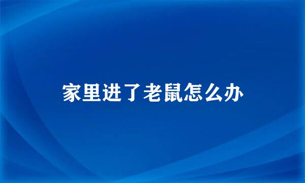 家里进了老鼠怎么办