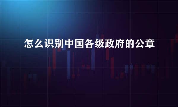 怎么识别中国各级政府的公章