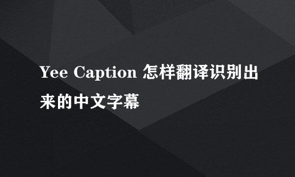 Yee Caption 怎样翻译识别出来的中文字幕