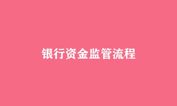 银行资金监管流程