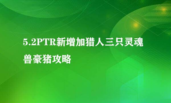 5.2PTR新增加猎人三只灵魂兽豪猪攻略