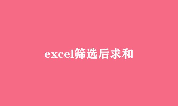 excel筛选后求和