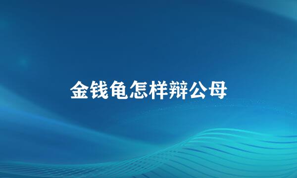金钱龟怎样辩公母