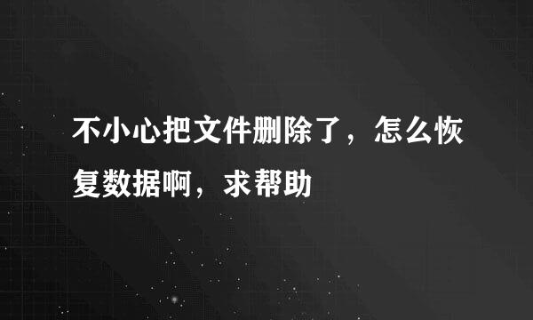 不小心把文件删除了，怎么恢复数据啊，求帮助
