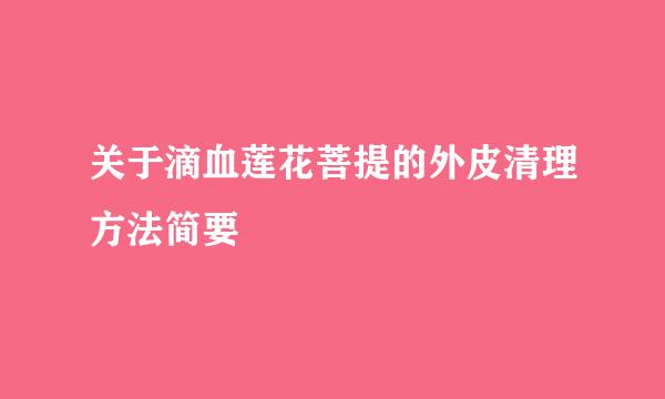 关于滴血莲花菩提的外皮清理方法简要