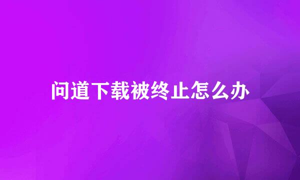 问道下载被终止怎么办