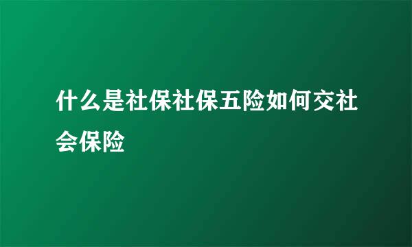 什么是社保社保五险如何交社会保险