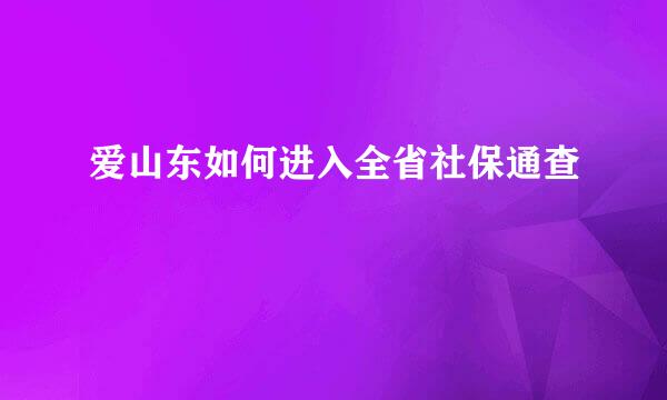爱山东如何进入全省社保通查