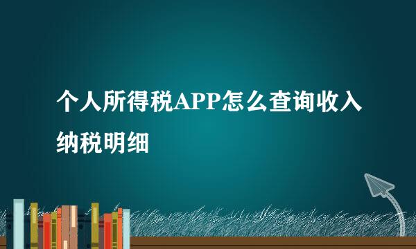 个人所得税APP怎么查询收入纳税明细