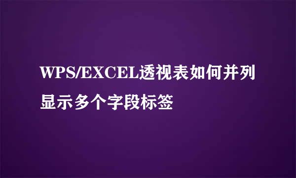 WPS/EXCEL透视表如何并列显示多个字段标签
