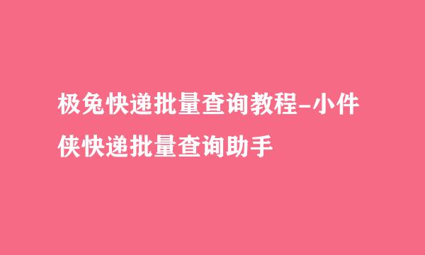 极兔快递批量查询教程-小件侠快递批量查询助手