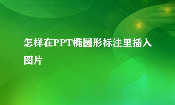 怎样在PPT椭圆形标注里插入图片