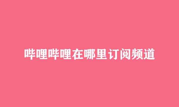 哔哩哔哩在哪里订阅频道