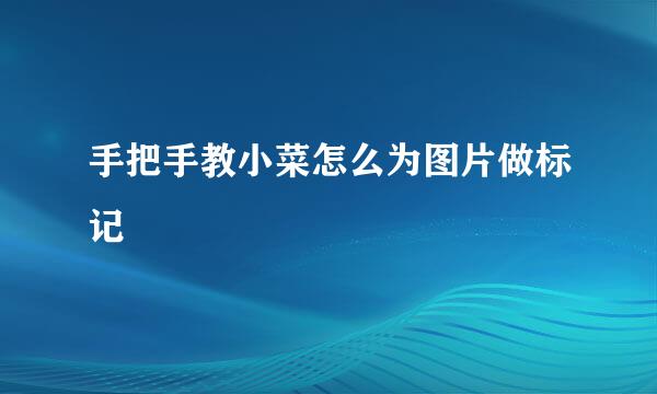 手把手教小菜怎么为图片做标记