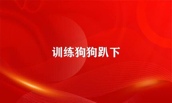 训练狗狗趴下