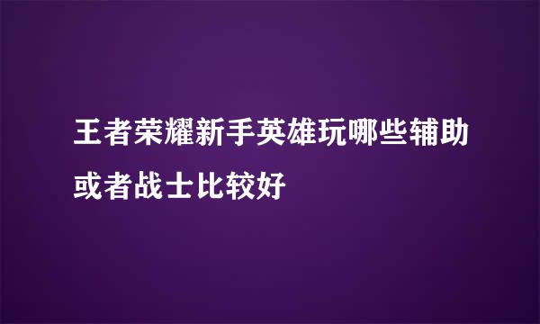 王者荣耀新手英雄玩哪些辅助或者战士比较好