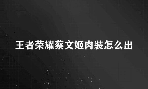 王者荣耀蔡文姬肉装怎么出