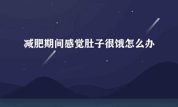 减肥期间感觉肚子很饿怎么办