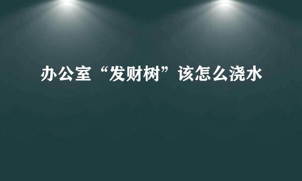 办公室“发财树”该怎么浇水