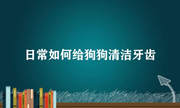 日常如何给狗狗清洁牙齿