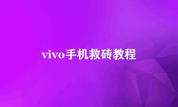 vivo手机救砖教程