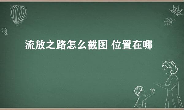 流放之路怎么截图 位置在哪