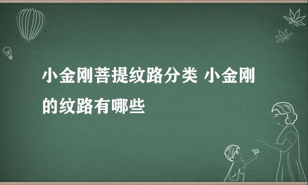 小金刚菩提纹路分类 小金刚的纹路有哪些