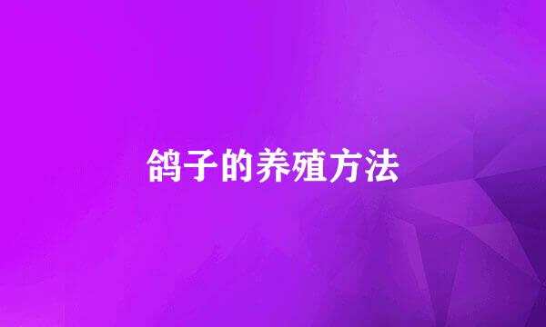 鸽子的养殖方法