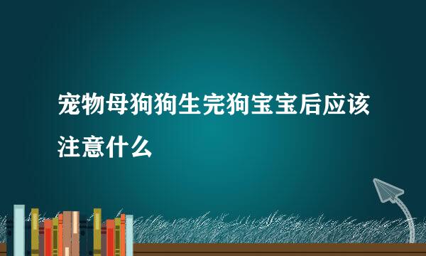 宠物母狗狗生完狗宝宝后应该注意什么