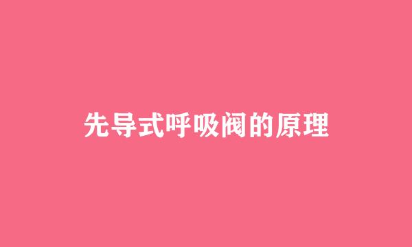 先导式呼吸阀的原理