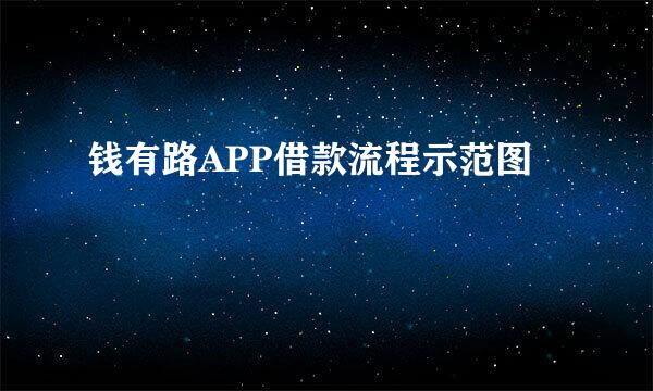 钱有路APP借款流程示范图