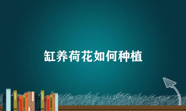 缸养荷花如何种植